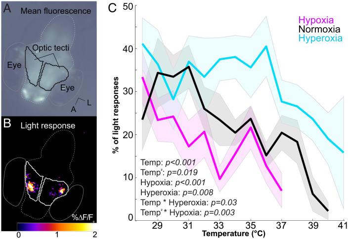 https://cdn.ncbi.nlm.nih.gov/pmc/blobs/c171/9522358/4bb00e009cb9/pnas.2207052119fig06.jpg