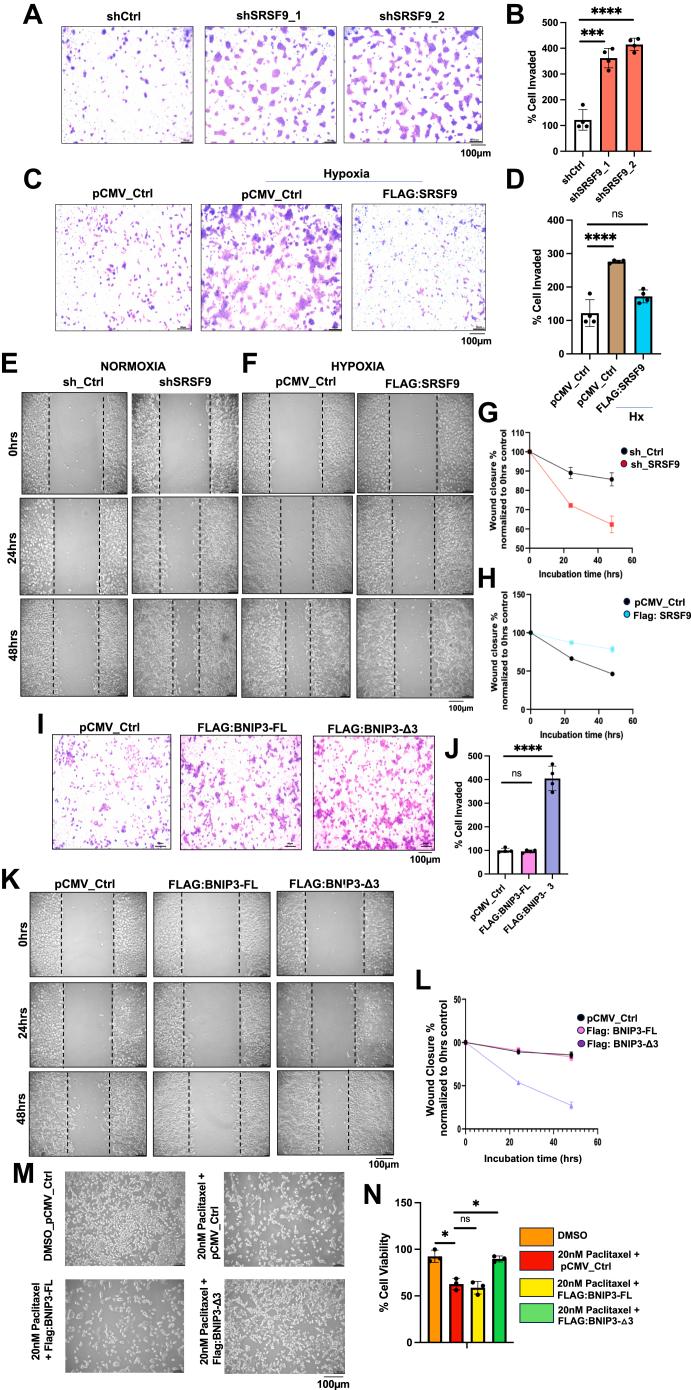 https://cdn.ncbi.nlm.nih.gov/pmc/blobs/c174/12362092/0f7af09226da/gr7.jpg