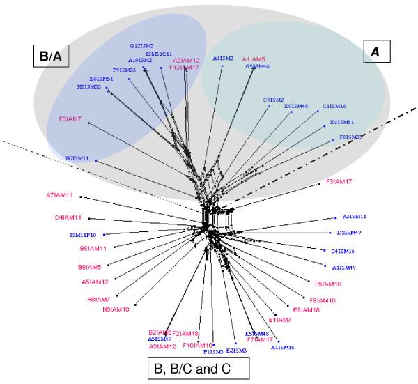 https://cdn.ncbi.nlm.nih.gov/pmc/blobs/c174/3488018/0957af601173/1475-2875-11-230-5.jpg