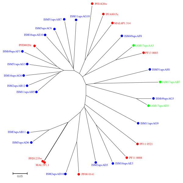 https://cdn.ncbi.nlm.nih.gov/pmc/blobs/c174/3488018/2e64d75acf01/1475-2875-11-230-7.jpg