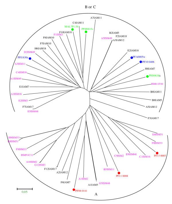 https://cdn.ncbi.nlm.nih.gov/pmc/blobs/c174/3488018/6fb8c49f7ea7/1475-2875-11-230-6.jpg