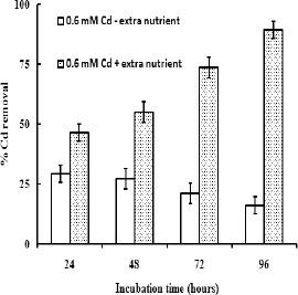 https://cdn.ncbi.nlm.nih.gov/pmc/blobs/c174/3768532/fd7307480d8a/bjm-40-655-g003.jpg
