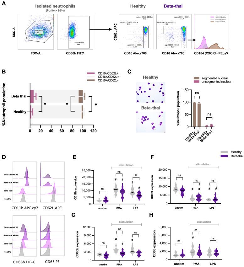 https://cdn.ncbi.nlm.nih.gov/pmc/blobs/c175/11476590/0d3f38eed9ee/ijms-25-10651-g001.jpg
