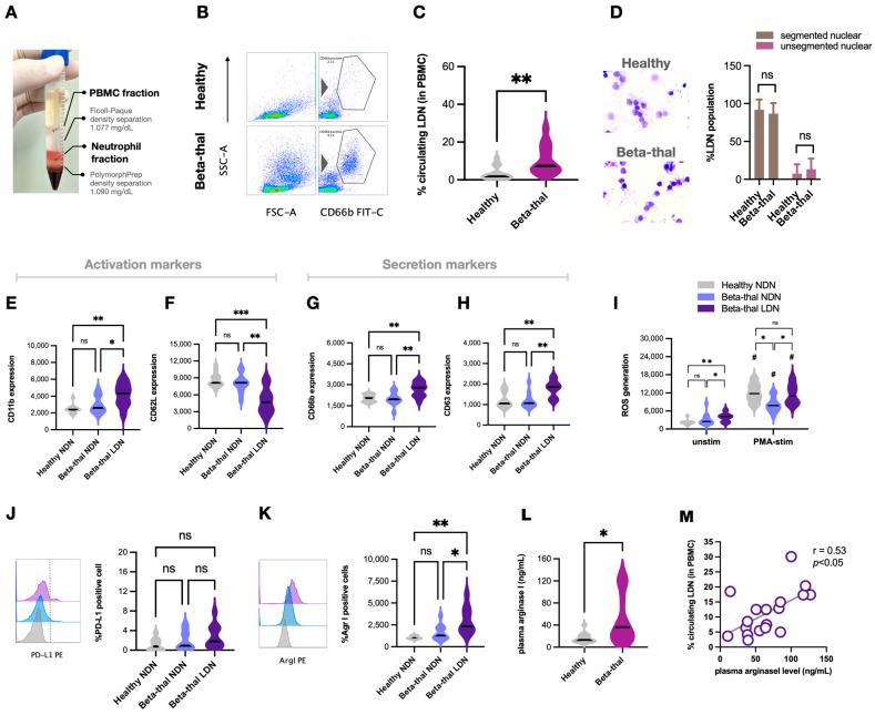 https://cdn.ncbi.nlm.nih.gov/pmc/blobs/c175/11476590/5d476f7e7fa8/ijms-25-10651-g003.jpg