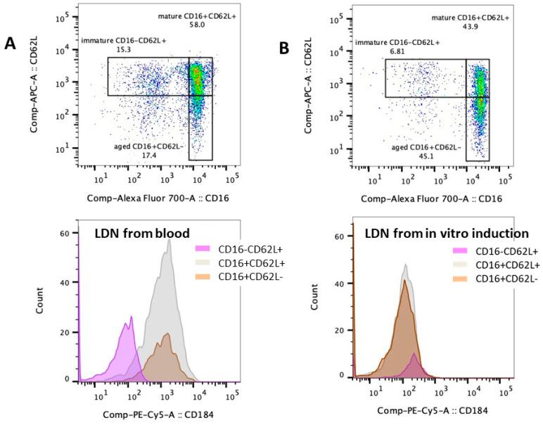 https://cdn.ncbi.nlm.nih.gov/pmc/blobs/c175/11476590/a710ae50ecb2/ijms-25-10651-g006.jpg