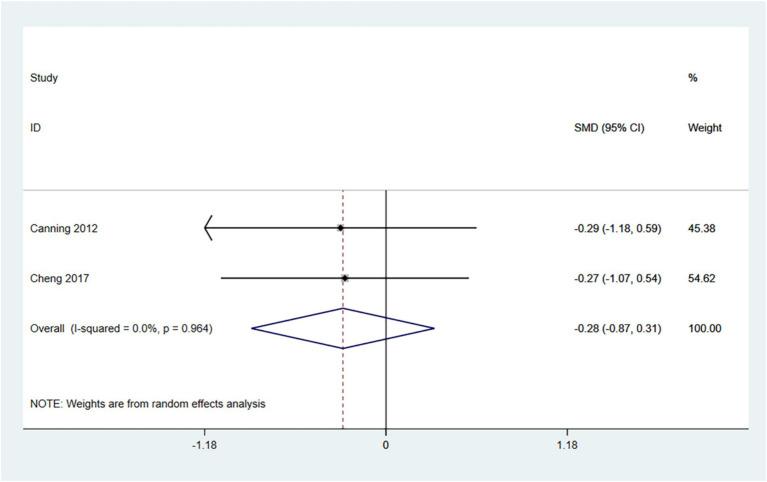 https://cdn.ncbi.nlm.nih.gov/pmc/blobs/c176/12213742/db996115d951/fneur-16-1609912-g008.jpg