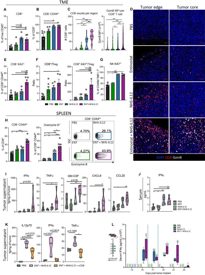 https://cdn.ncbi.nlm.nih.gov/pmc/blobs/c176/9240938/91fdc1044e6d/jitc-2022-004561f02.jpg
