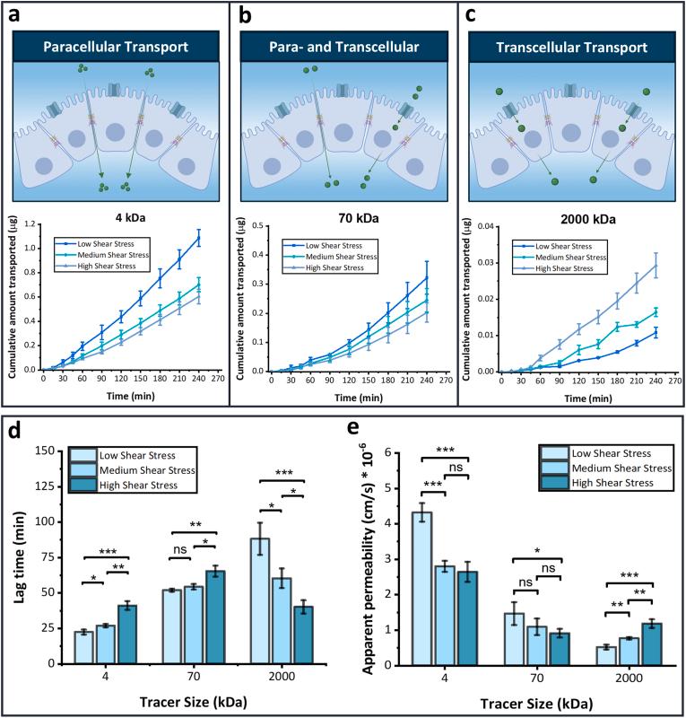 https://cdn.ncbi.nlm.nih.gov/pmc/blobs/c177/12180969/49c55490029e/gr7.jpg