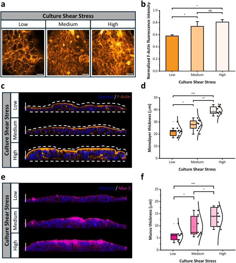 https://cdn.ncbi.nlm.nih.gov/pmc/blobs/c177/12180969/9eed9808c31f/gr2.jpg