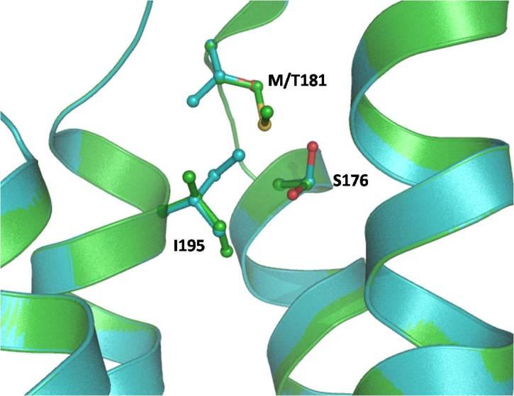 https://cdn.ncbi.nlm.nih.gov/pmc/blobs/c178/3501276/a85b65d42912/mv-v18-2687-f3.jpg
