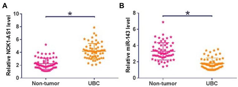 https://cdn.ncbi.nlm.nih.gov/pmc/blobs/c179/7064288/29cbbd5f401d/CMAR-12-1661-g0001.jpg