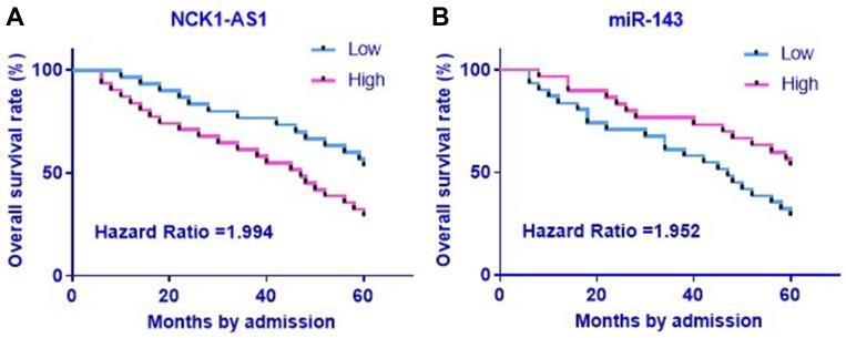 https://cdn.ncbi.nlm.nih.gov/pmc/blobs/c179/7064288/acfc962fbf48/CMAR-12-1661-g0002.jpg