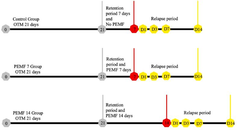https://cdn.ncbi.nlm.nih.gov/pmc/blobs/c17a/11741038/4a77734c2de6/gr1.jpg