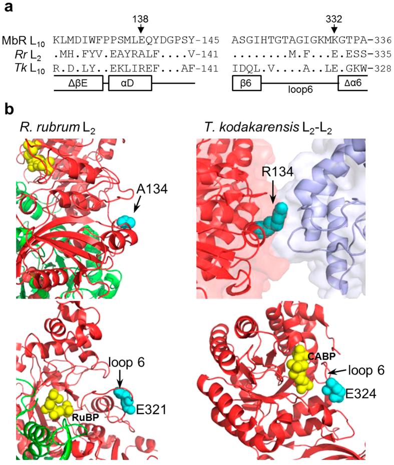 https://cdn.ncbi.nlm.nih.gov/pmc/blobs/c17b/4772096/302fcb54f8f1/srep22284-f6.jpg