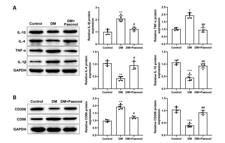 https://cdn.ncbi.nlm.nih.gov/pmc/blobs/c17c/10466073/0616972a2146/kjpp-27-5-437-f3a.jpg
