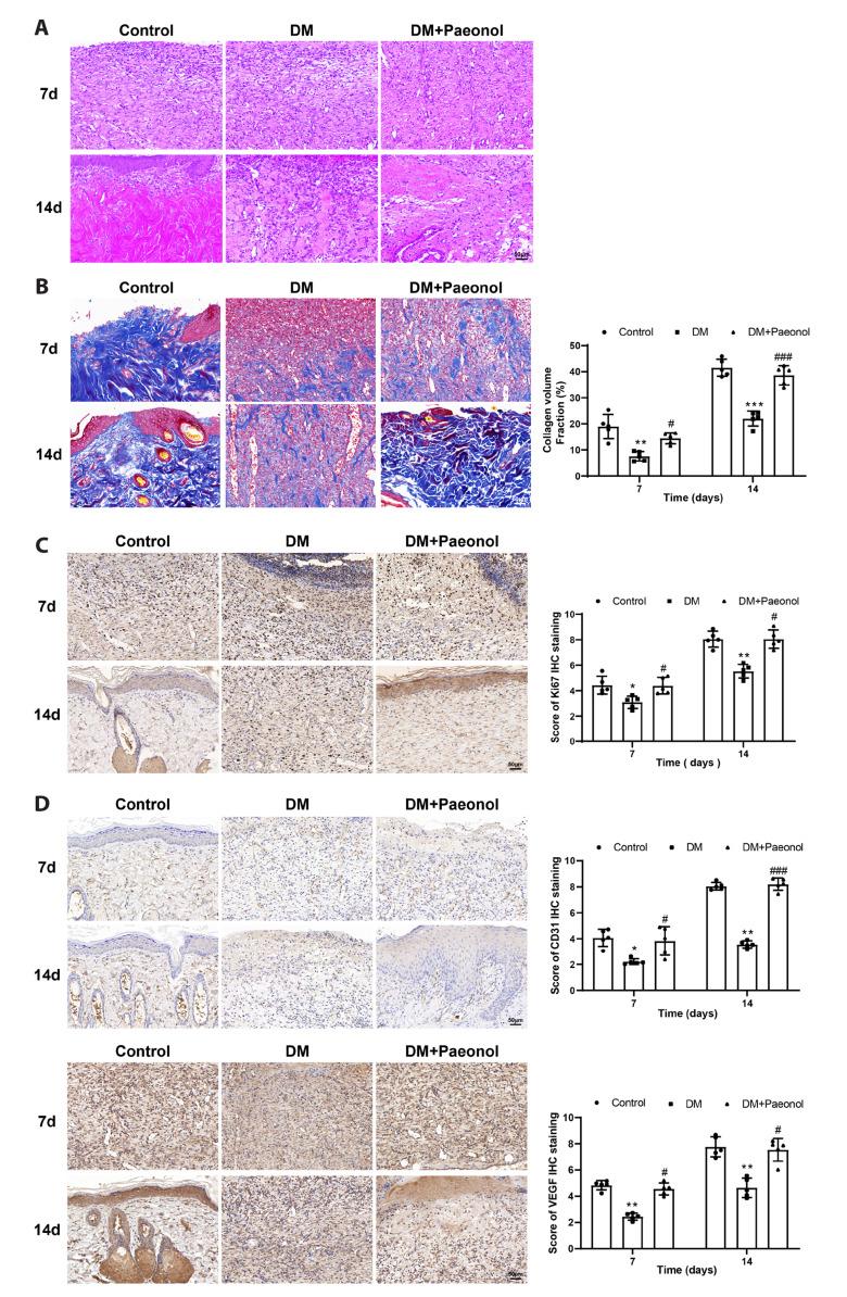 https://cdn.ncbi.nlm.nih.gov/pmc/blobs/c17c/10466073/2b7fe9ec414b/kjpp-27-5-437-f2.jpg