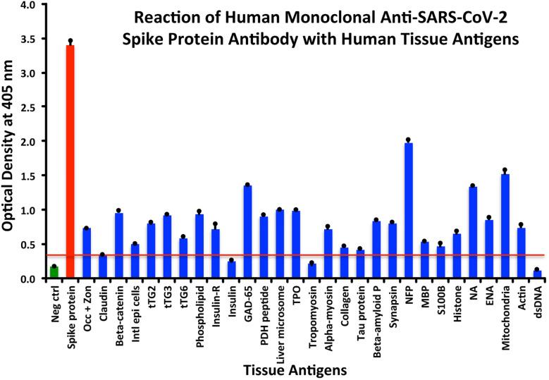 https://cdn.ncbi.nlm.nih.gov/pmc/blobs/c17c/7873987/b5d5dc46ec35/fimmu-11-617089-g001.jpg