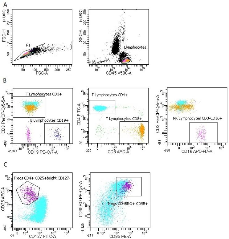 https://cdn.ncbi.nlm.nih.gov/pmc/blobs/c17c/8151453/932bb9e9b9d2/viruses-13-00880-g0A2.jpg