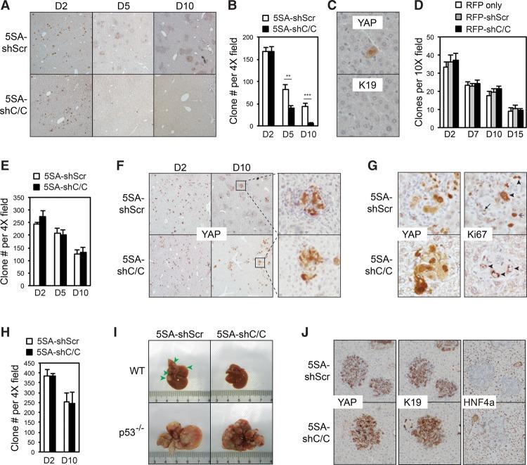 https://cdn.ncbi.nlm.nih.gov/pmc/blobs/c17d/5358722/1f1a459a053d/247f05.jpg