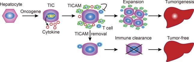 https://cdn.ncbi.nlm.nih.gov/pmc/blobs/c17d/5358722/709b3193addc/247f07.jpg