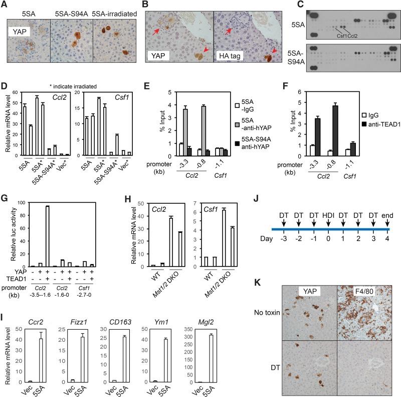 https://cdn.ncbi.nlm.nih.gov/pmc/blobs/c17d/5358722/cb91cfa7f333/247f03.jpg