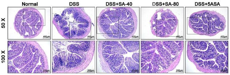https://cdn.ncbi.nlm.nih.gov/pmc/blobs/c17f/10785090/3edc41d63d2f/ao3c07474_0002.jpg
