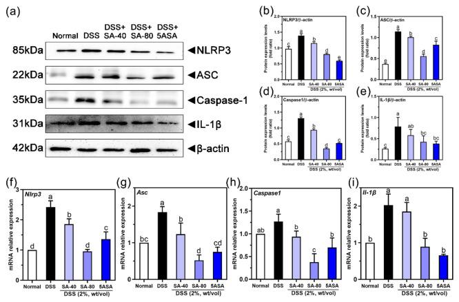 https://cdn.ncbi.nlm.nih.gov/pmc/blobs/c17f/10785090/71fae729a0bc/ao3c07474_0004.jpg