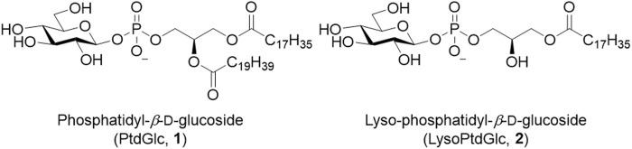 https://cdn.ncbi.nlm.nih.gov/pmc/blobs/c182/10881803/711a41f1458d/fchem-12-1353688-g003.jpg