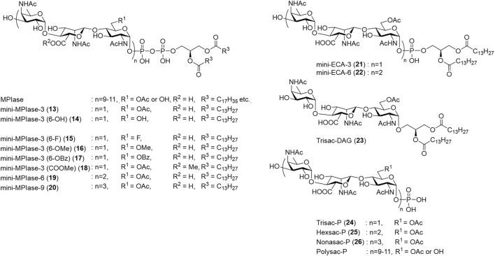 https://cdn.ncbi.nlm.nih.gov/pmc/blobs/c182/10881803/9c6284214eb4/fchem-12-1353688-g006.jpg