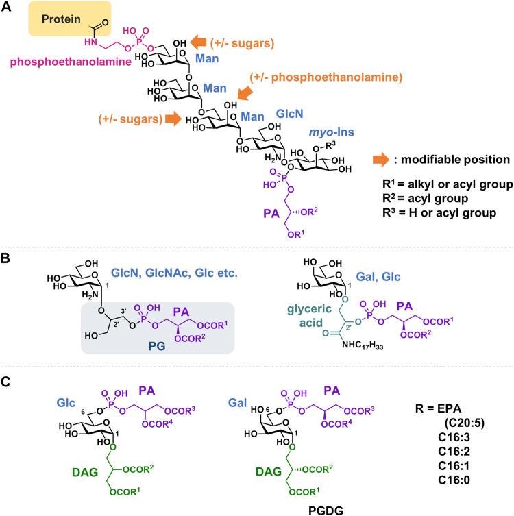 https://cdn.ncbi.nlm.nih.gov/pmc/blobs/c182/10881803/e5b36ec114b5/fchem-12-1353688-g009.jpg