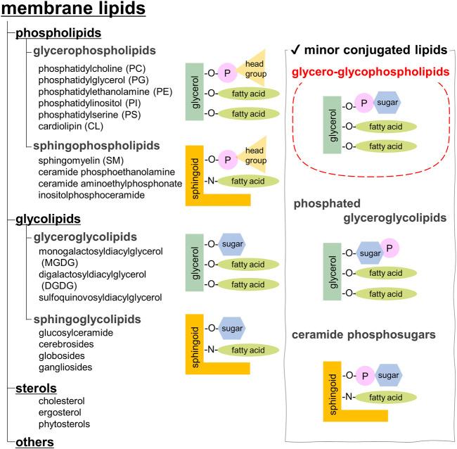 https://cdn.ncbi.nlm.nih.gov/pmc/blobs/c182/10881803/f0b806d65127/fchem-12-1353688-g001.jpg