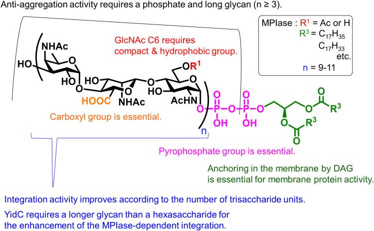 https://cdn.ncbi.nlm.nih.gov/pmc/blobs/c182/10881803/f631a9d73009/fchem-12-1353688-g007.jpg
