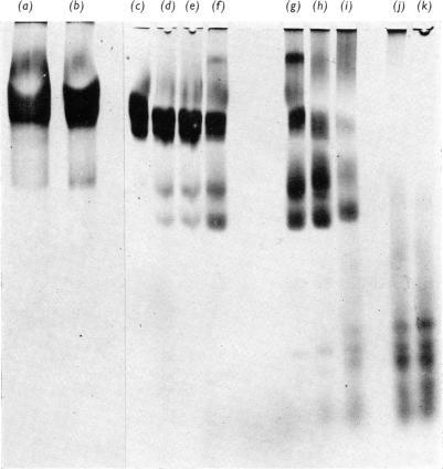 https://cdn.ncbi.nlm.nih.gov/pmc/blobs/c182/1177875/85084b13b123/biochemj00601-0114-a.jpg
