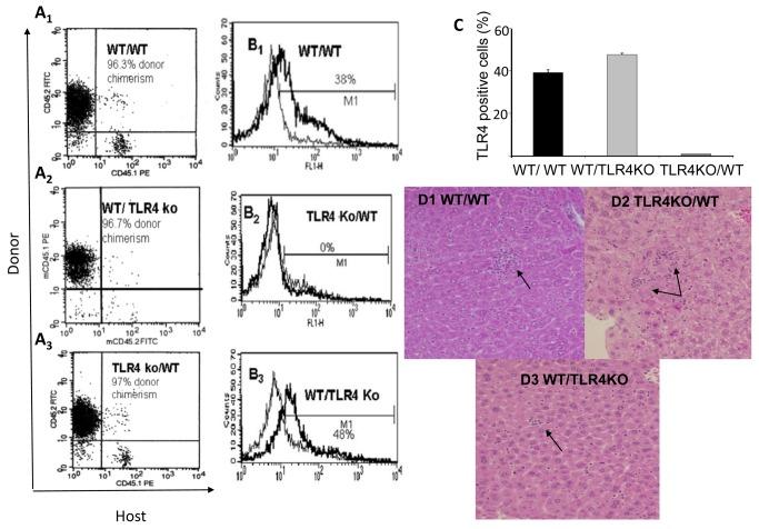 https://cdn.ncbi.nlm.nih.gov/pmc/blobs/c182/3744496/4fd7cb387b1a/pone.0073041.g004.jpg
