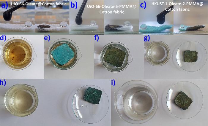 https://cdn.ncbi.nlm.nih.gov/pmc/blobs/c185/11191008/8d5b94780726/am3c19536_0007.jpg