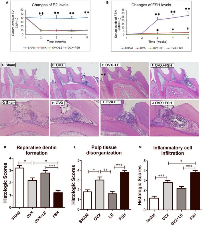 https://cdn.ncbi.nlm.nih.gov/pmc/blobs/c185/7521281/f83580e2a7c9/JCMM-24-10621-g006.jpg
