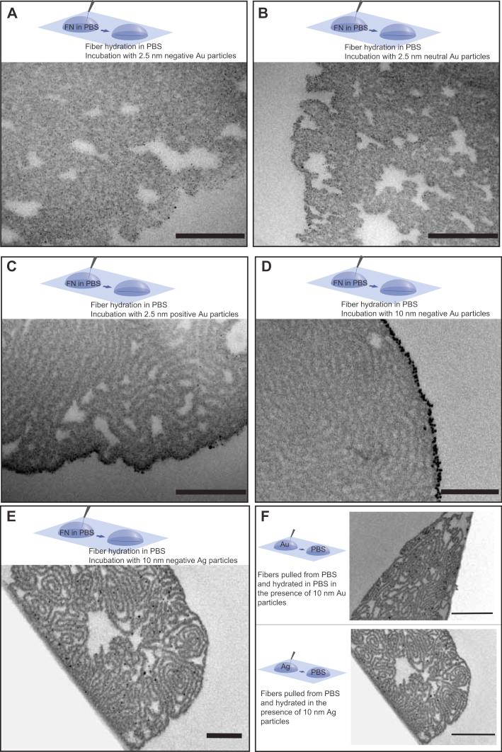https://cdn.ncbi.nlm.nih.gov/pmc/blobs/c186/4234482/8c61e7500332/gr7.jpg