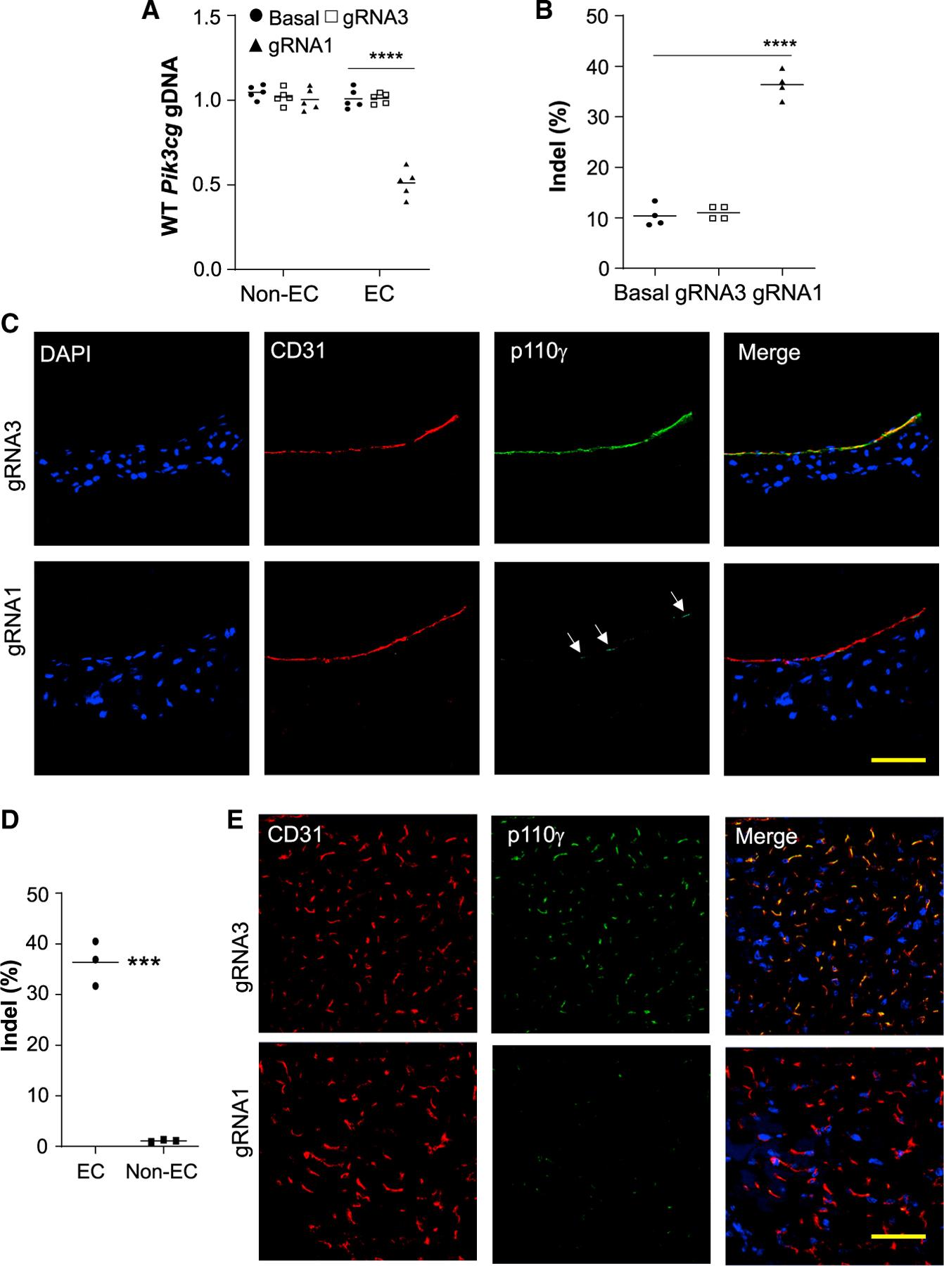 https://cdn.ncbi.nlm.nih.gov/pmc/blobs/c187/8769807/705c004be4b6/nihms-1768918-f0006.jpg