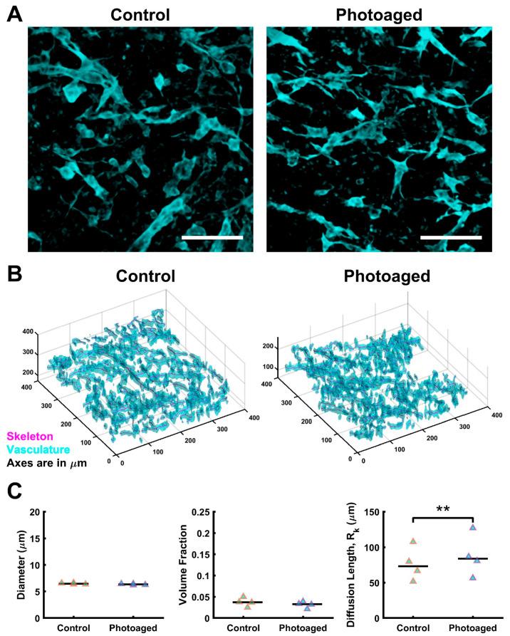 https://cdn.ncbi.nlm.nih.gov/pmc/blobs/c187/9775308/1b770a83a5c6/biomolecules-12-01828-g005.jpg