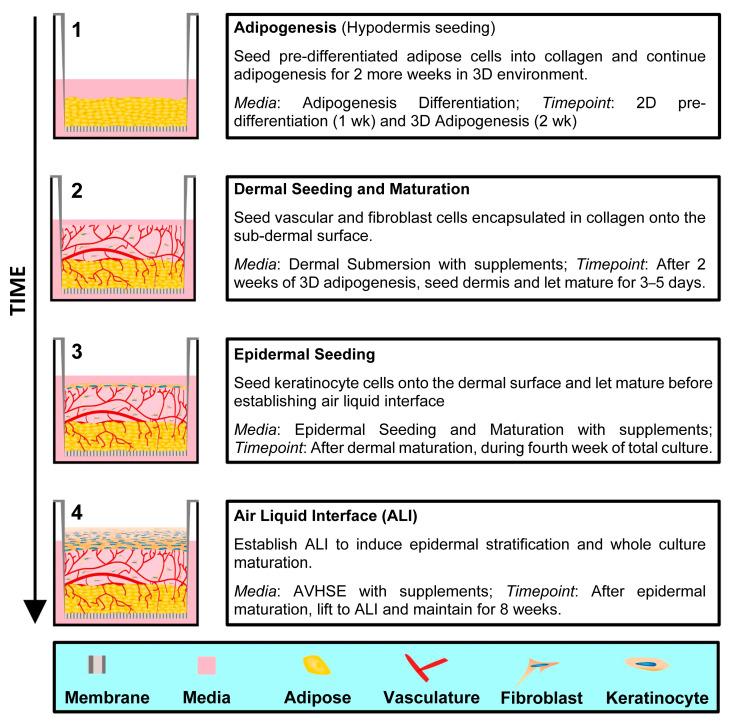 https://cdn.ncbi.nlm.nih.gov/pmc/blobs/c187/9775308/7bcf9dba64b3/biomolecules-12-01828-g001.jpg