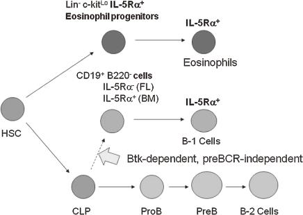 https://cdn.ncbi.nlm.nih.gov/pmc/blobs/c188/3313690/0ff6eda8a89d/pjab-87-463-g007.jpg