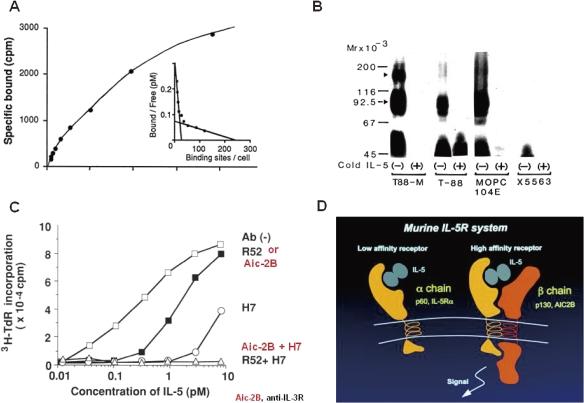 https://cdn.ncbi.nlm.nih.gov/pmc/blobs/c188/3313690/ca6e49c4de14/pjab-87-463-g003.jpg