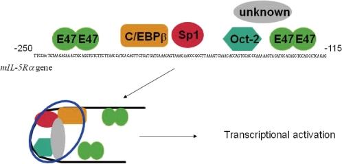 https://cdn.ncbi.nlm.nih.gov/pmc/blobs/c188/3313690/eb44cd9be4aa/pjab-87-463-g008.jpg
