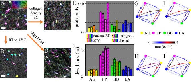 https://cdn.ncbi.nlm.nih.gov/pmc/blobs/c18e/8516896/7c8f10625dc6/41598_2021_99902_Fig4_HTML.jpg