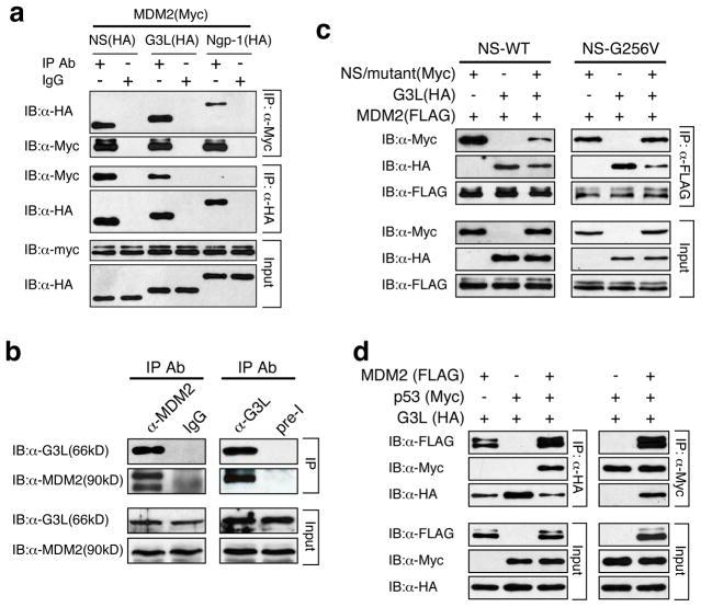 https://cdn.ncbi.nlm.nih.gov/pmc/blobs/c18f/3072457/ffd962b1917a/nihms247135f1.jpg