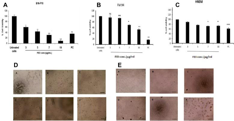https://cdn.ncbi.nlm.nih.gov/pmc/blobs/c191/6544398/65eafc3114ff/oncotarget-10-3472-g001.jpg