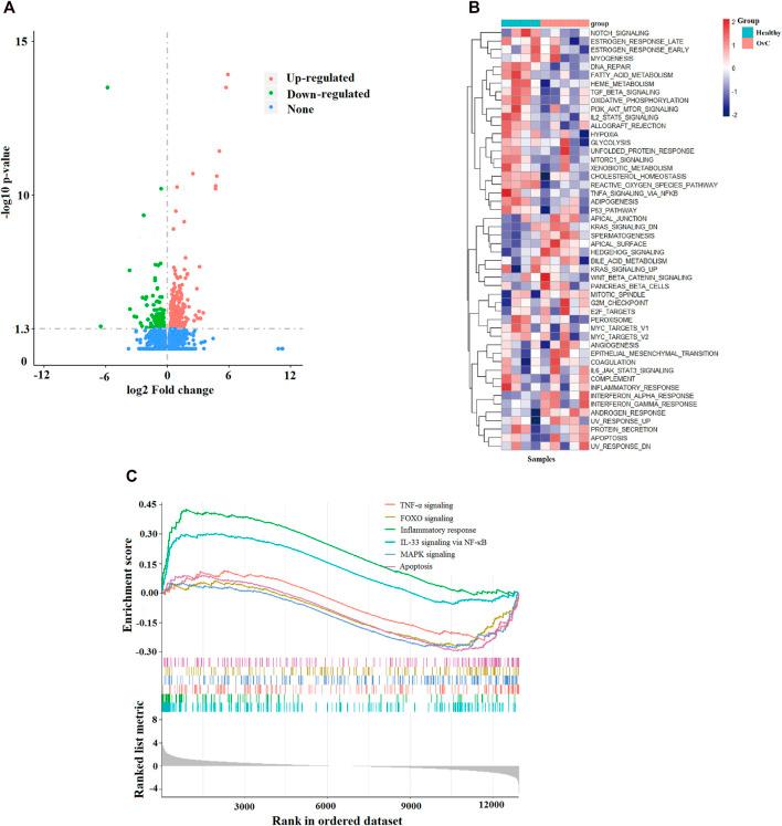 https://cdn.ncbi.nlm.nih.gov/pmc/blobs/c192/10272621/808580595da6/fmolb-10-1189527-g001.jpg