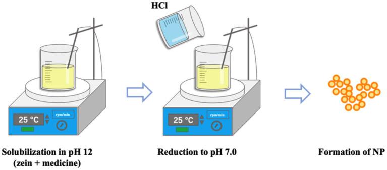 https://cdn.ncbi.nlm.nih.gov/pmc/blobs/c192/11119329/fcca56a82664/fnut-11-1379982-g002.jpg
