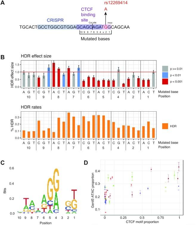 https://cdn.ncbi.nlm.nih.gov/pmc/blobs/c194/10287956/a0a23f807453/gkad332fig5.jpg