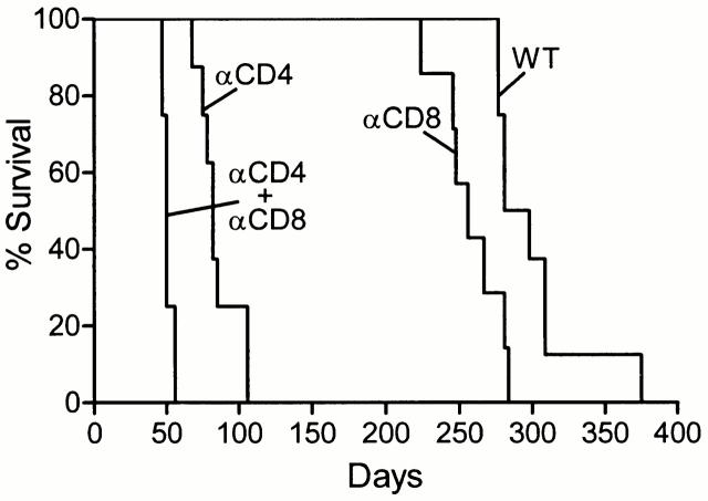 https://cdn.ncbi.nlm.nih.gov/pmc/blobs/c194/2195922/c90721e4c31c/JEM001848.f5.jpg